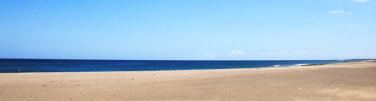 Playa Guacimeta Beach